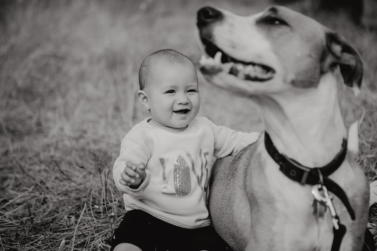 Family lifestyle pet portrait photo of baby and dog at muriwai beach auckland by sarah weber photography